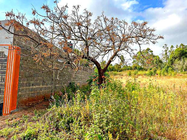 Residential Plots for Sale in Kikuyu, Rose Gate