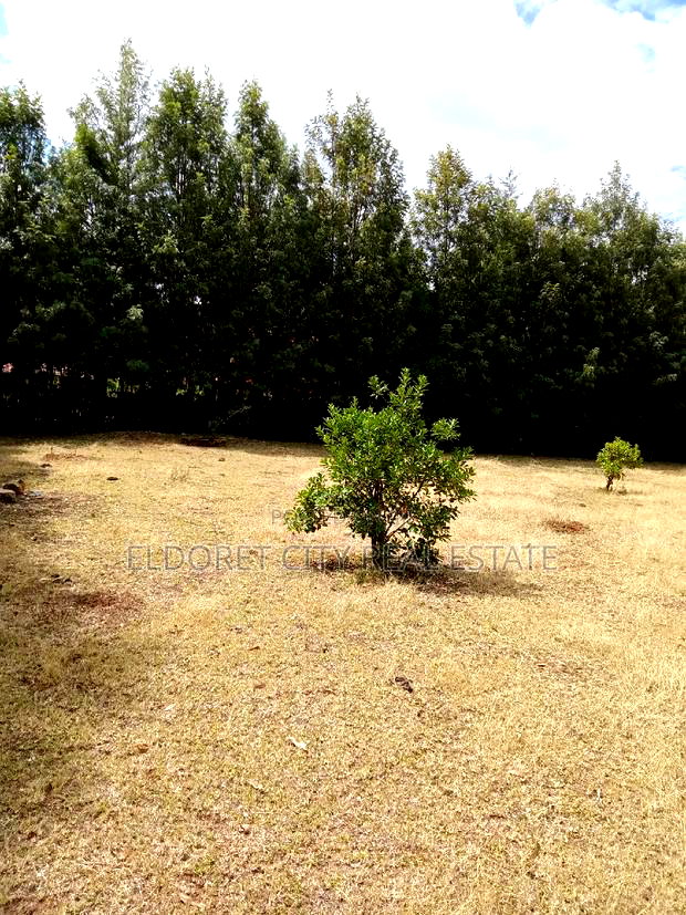 1/2 Acre Kuinet With Title Ideal for Residential