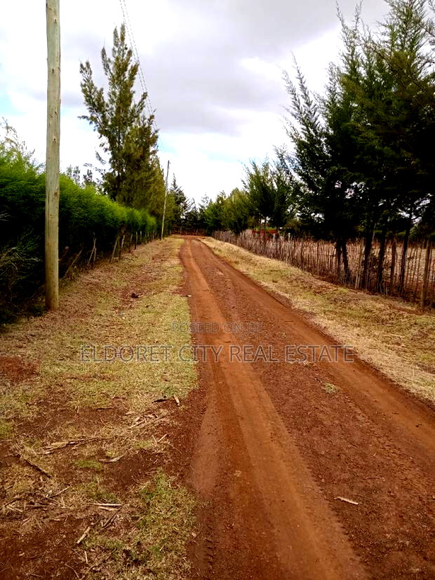 1/2 Acre Kuinet With Title Ideal for Residential