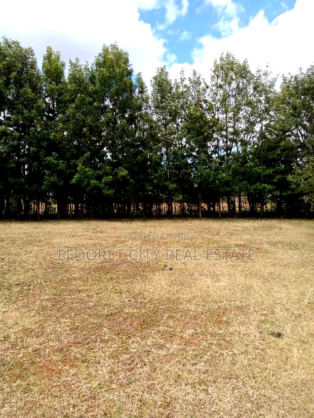 1/2 Acre Kuinet With Title Ideal for Residential