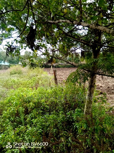 1 Acre of Land in Ngong Matasia - Image 4