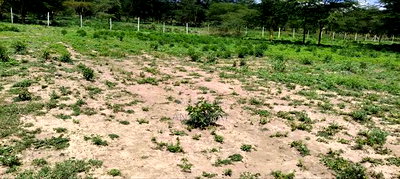 Nakuru Prime Plots - Image 1