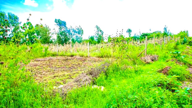 Prime Residential Plot in Kikuyu, Gikambura for Sale.