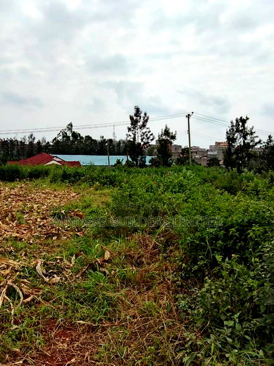 1/2 Acre for Sale at Kasarani - Image 4