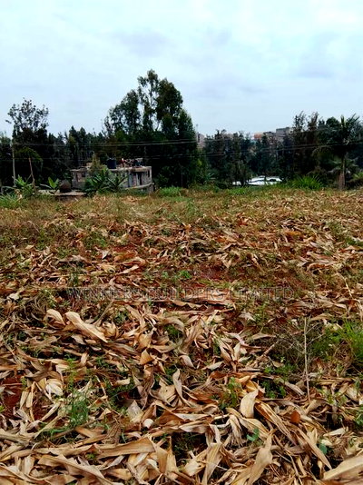 1/2 Acre for Sale at Kasarani - Image 11