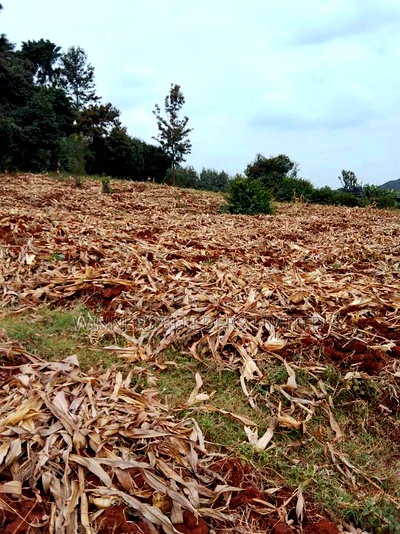 1/2 Acre for Sale at Kasarani - Image 2
