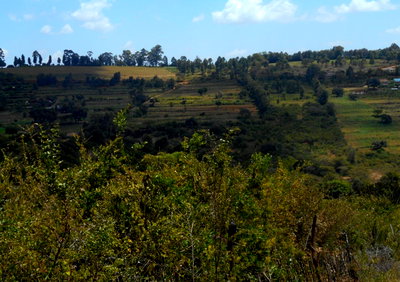 5-Acre Garden Plot in Mua Hills