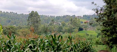 2 Acres for Sale in Ngong Bondeni. - Image 6