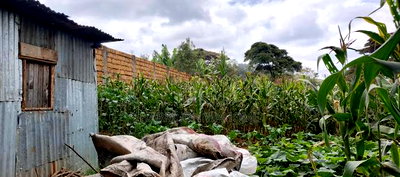 2 Acres for Sale in Ngong Bondeni. - Image 4