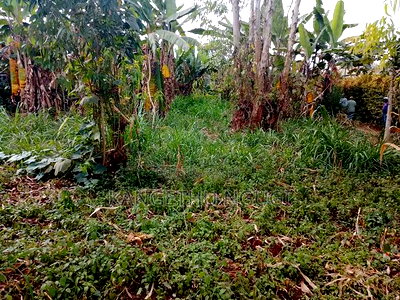 40 X 90 Plot Kirigu-Ini Ndumberi - Image 5