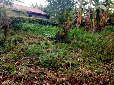 40 X 90 Plot Kirigu-Ini Ndumberi - Image 3