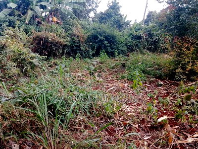 40 X 90 Plot Kirigu-Ini Ndumberi - Image 4