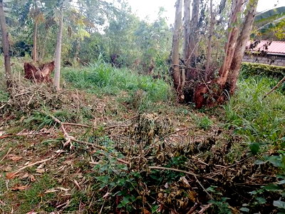 40 X 90 Plot Kirigu-Ini Ndumberi - Image 7