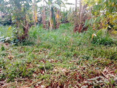 40 X 90 Plot Kirigu-Ini Ndumberi - Image 2