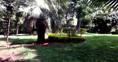 3/4 Acre 4BR Haven for KSh 300K