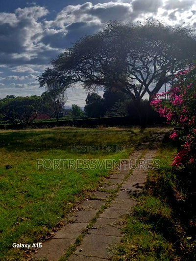 1.3 Acres in Miimani Estate Nakuru - Image 3