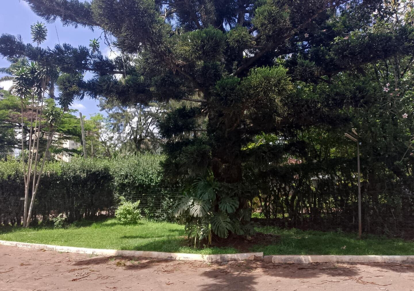 57 Acre Estate with 5BR Home