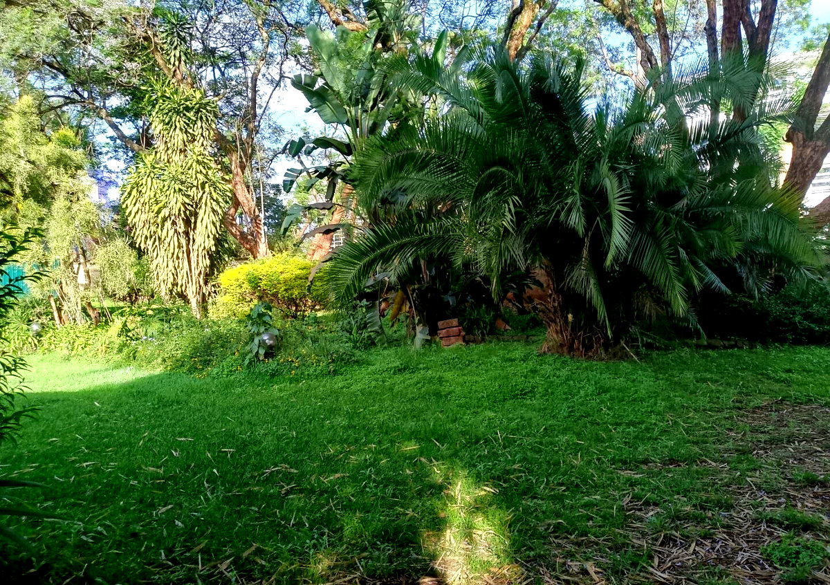 57 Acre Estate with 5BR Home