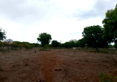 3-Acre Oceanview Land for KSh 60M