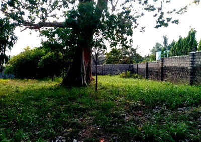 2-Acre Road Frontage Plot at KSh 14M