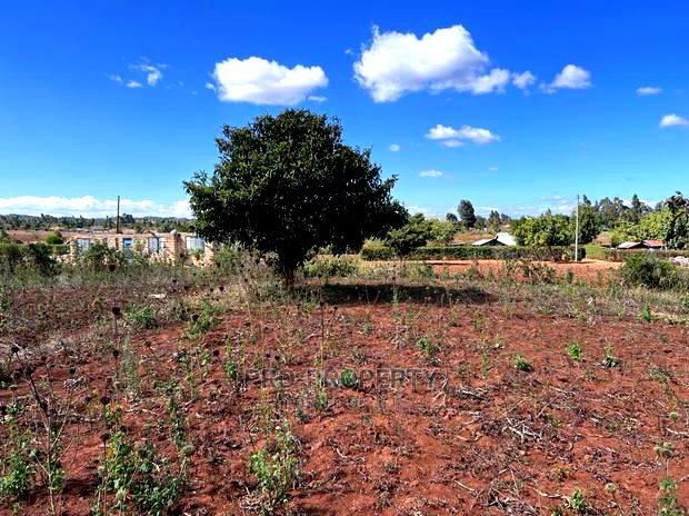 Prime 50 By 100fts Residential Plot In Kikuyu, Kamangu.