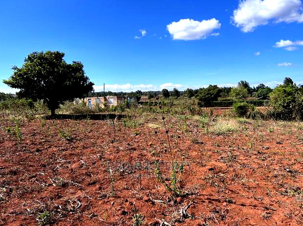 Prime 50 By 100fts Residential Plot In Kikuyu, Kamangu.