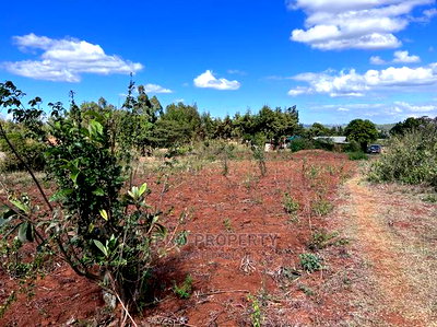 Prime 50 By 100fts Residential Plot In Kikuyu, Kamangu. - Image 9