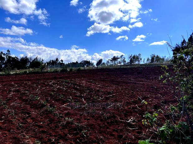 Prime 50 By 100fts Residential Plot In Kikuyu, Kamangu.
