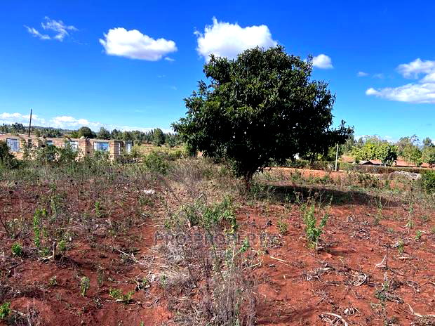 Prime 50 By 100fts Residential Plot In Kikuyu, Kamangu.