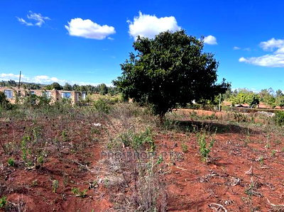 Prime 50 By 100fts Residential Plot In Kikuyu, Kamangu. - Image 3