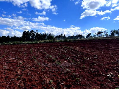 Prime 50 By 100fts Residential Plot In Kikuyu, Kamangu. - Image 7