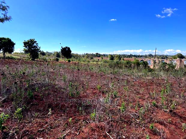 Prime 50 By 100fts Residential Plot In Kikuyu, Kamangu.