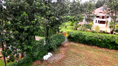 Prime 1 Acre Rhino Road, Karen - Image 10