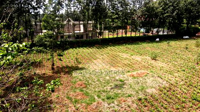Prime 1 Acre Rhino Road, Karen - Image 6