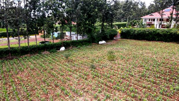 Prime 1 Acre Rhino Road, Karen