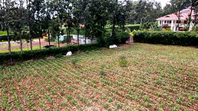 Prime 1 Acre Rhino Road, Karen - Image 5