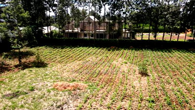 Prime 1 Acre Rhino Road, Karen - Image 12