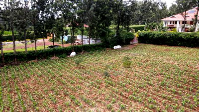 Prime 1 Acre Rhino Road, Karen - Image 2