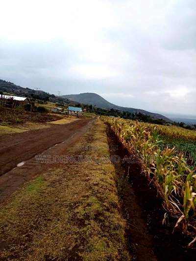 1/2 Acre Land on Sale at Ihindu Naivasha - Image 1