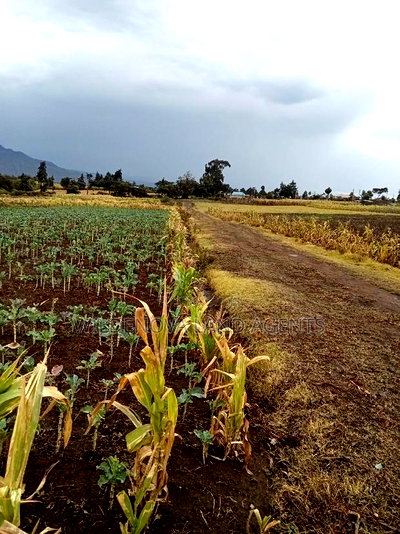 1/2 Acre Land on Sale at Ihindu Naivasha - Image 3