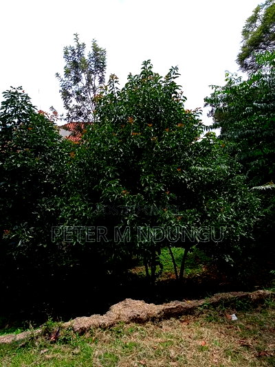 Kilimani Prime 1/2 Acre on Sale - Image 7