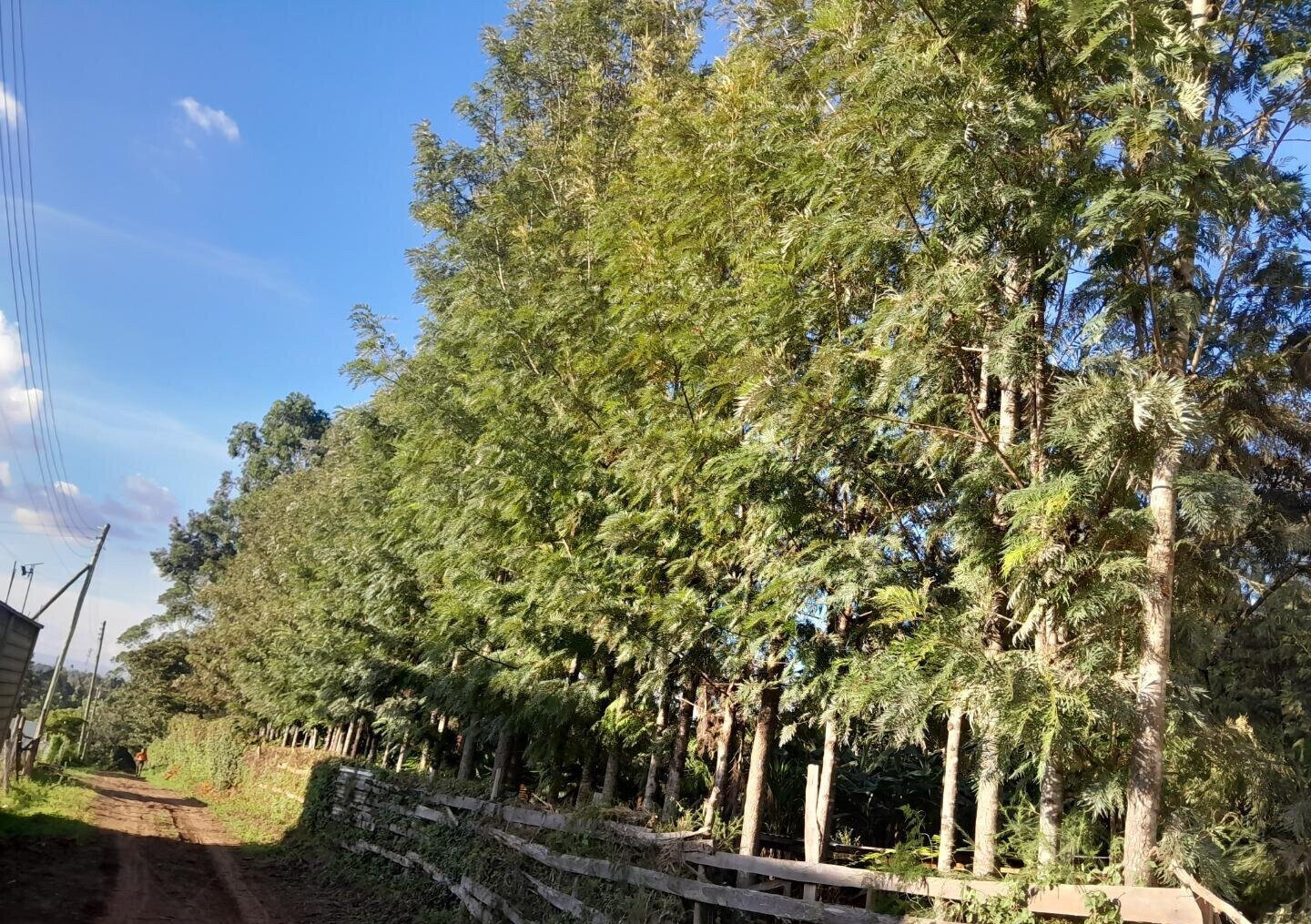 Hidden Roof 4BR Townhouse on 1/8 Acre - Matasia, Ngong