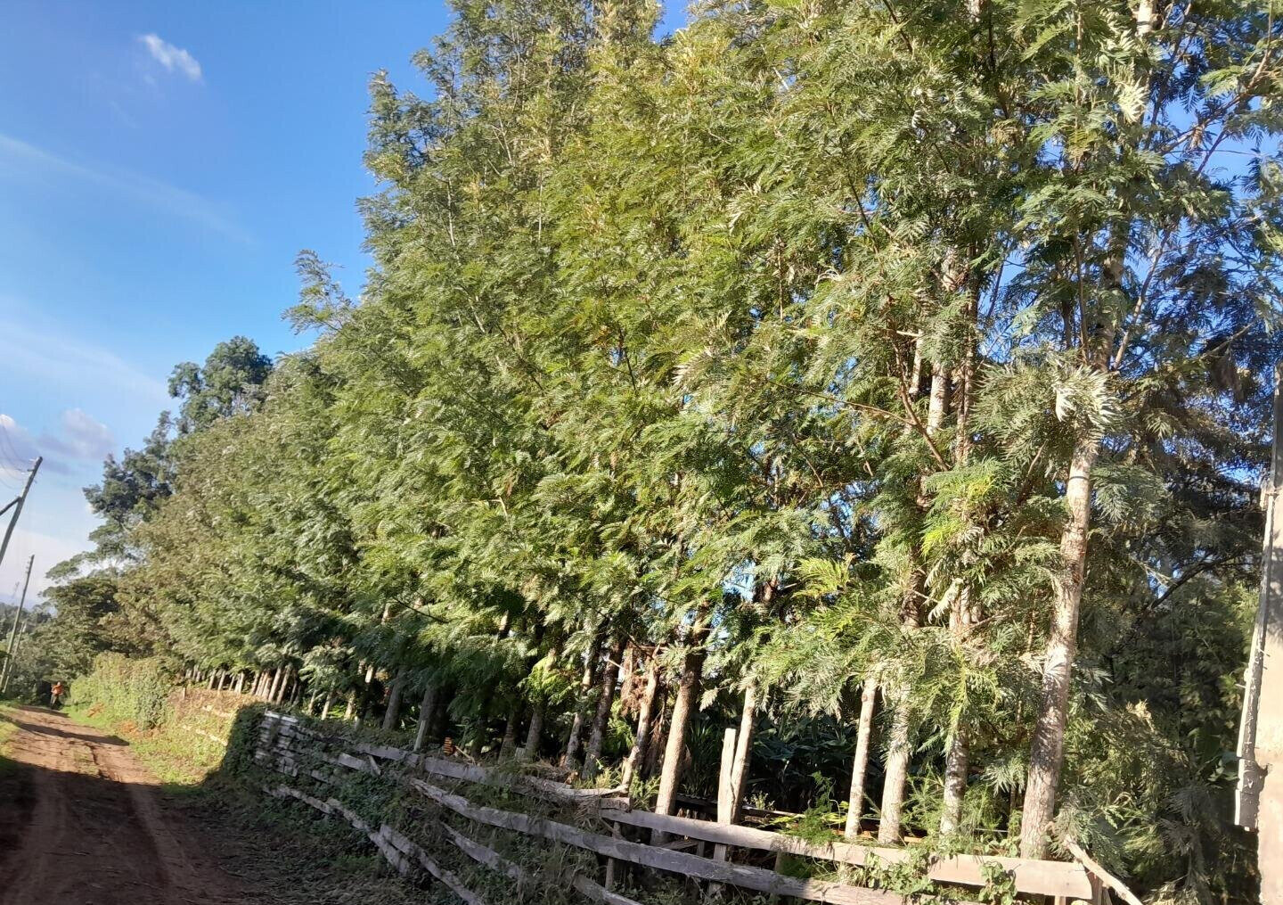 Hidden Roof 4BR Townhouse on 1/8 Acre - Matasia, Ngong