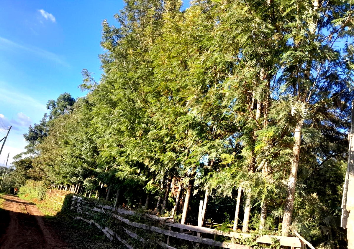 Hidden Roof 4BR Townhouse on 1/8 Acre - Matasia, Ngong