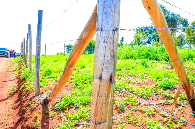 Prime Residential Plots for Sale in Kikuyu,Migumoini.