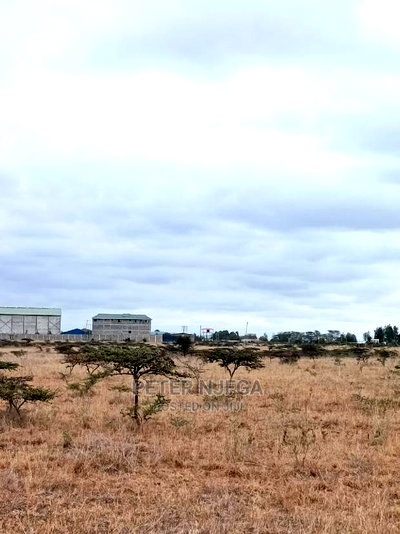 100x100 Plot Kitengela Kisaju for Sale - Image 4