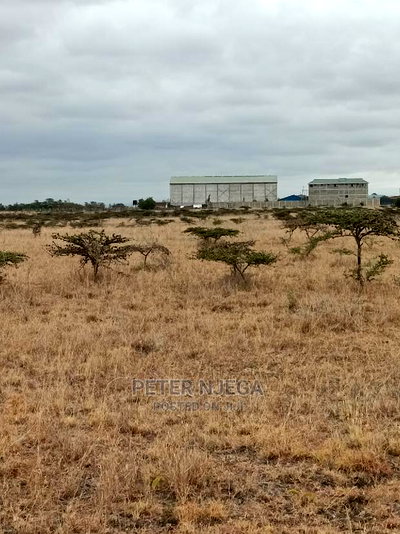 100x100 Plot Kitengela Kisaju for Sale - Image 8