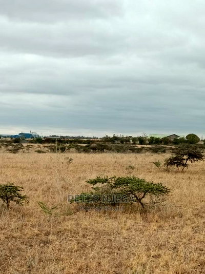 100x100 Plot Kitengela Kisaju for Sale - Image 6