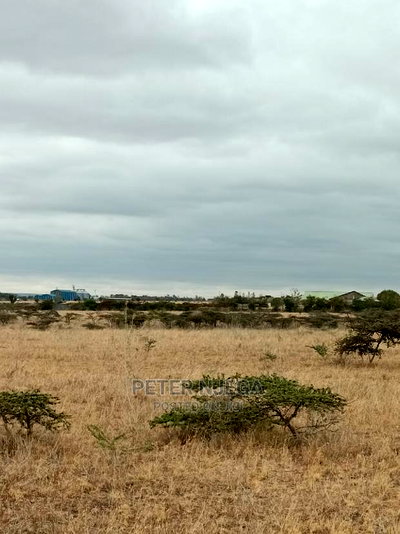 100x100 Plot Kitengela Kisaju for Sale - Image 7