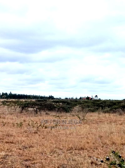 100x100 Plot Kitengela Kisaju for Sale - Image 5